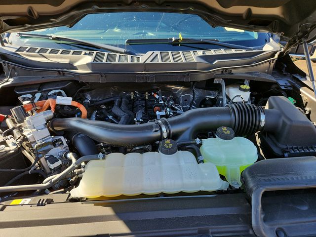 2024 Ford F-150 XLT 4WD SuperCrew 5.5' Box w/ Equipment 302A, PowerBoost Hybrid - 22934715 - 23