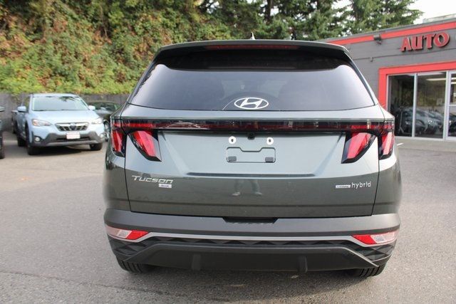 2024 Hyundai Tucson Hybrid Blue AWD - 22923306 - 3