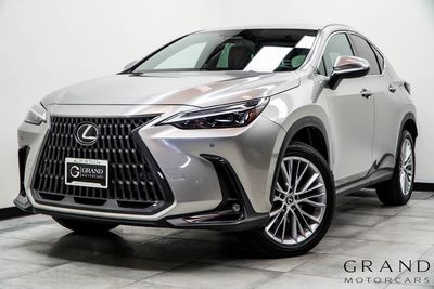 2024 Lexus NX - 2T2HKCEZ8RC018797