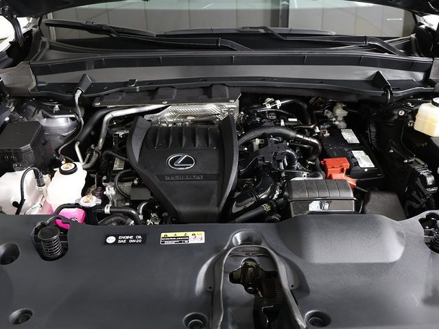 2024 Lexus TX TX 350 AWD - 22928404 - 20