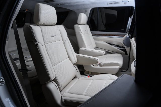 2025 Cadillac Escalade 4WD 4dr Sport Platinum - 22925893 - 32