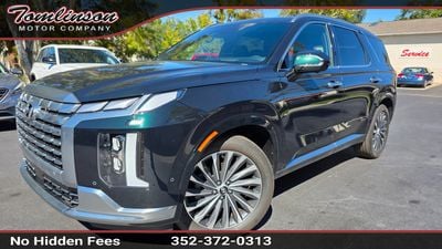 2025 Hyundai Palisade - KM8R74GE9SU891120