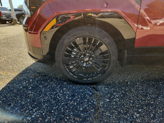 2025 Hyundai Santa Fe Hybrid Calligraphy AWD - 22934688 - 24