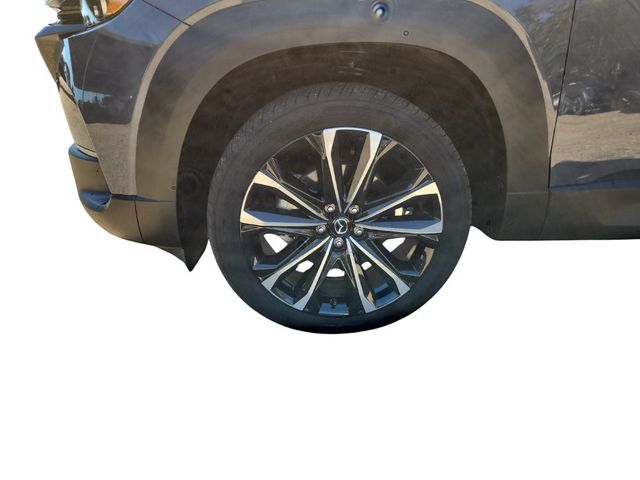 2025 Mazda CX-50 2.5 S Premium Plus Package AWD - 22935230 - 23