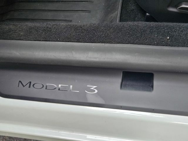 2025 Tesla Model 3 Long Range RWD - 22933729 - 22