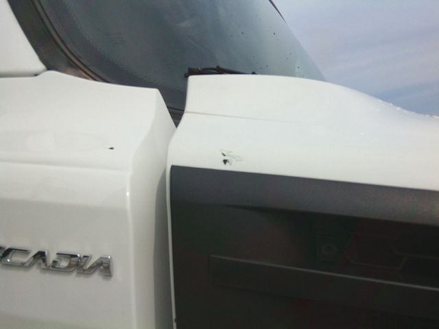 2020 Freightliner Cascadia-26