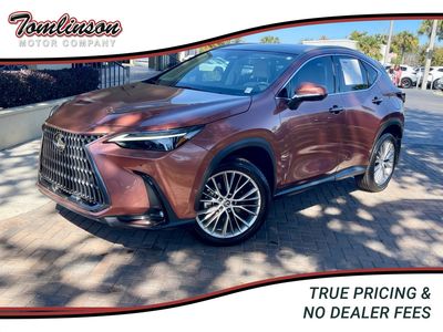 2025 Used Lexus NX 350 Luxury AWD |Tomlinson Motor Company