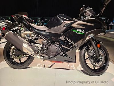 2024 New Kawasaki Ninja 500 RESERVE NOW! at SF Moto Serving San 