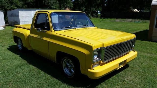 1978 Chevrolet Pickup 