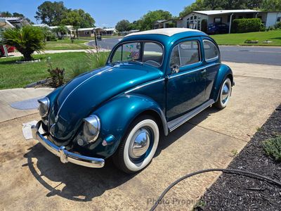 1955 Used Volkswagen Beetle Ragtop 3 Fold Bug For Sale at WeBe