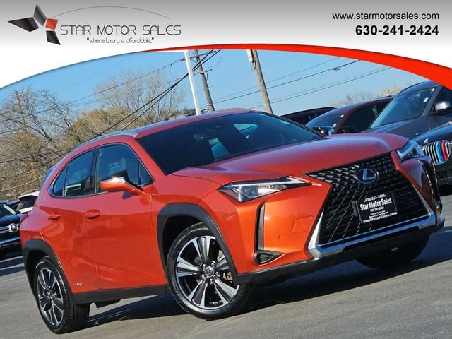 2019 Lexus UX UX 250h AWD's photo