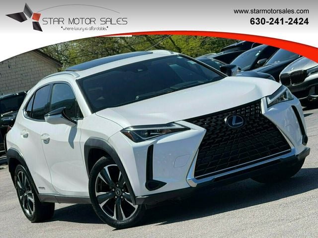 2020 Lexus UX 200 250h AWD's photo