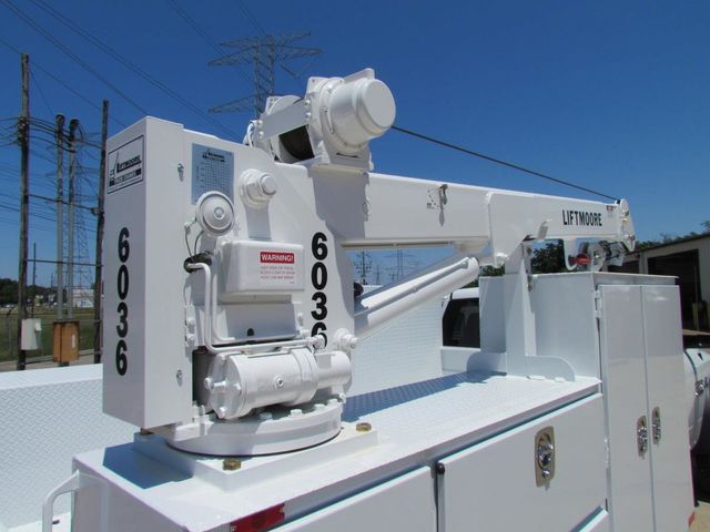 0 Liftmoore Crane 6036WX-20 - 3943493 - 1
