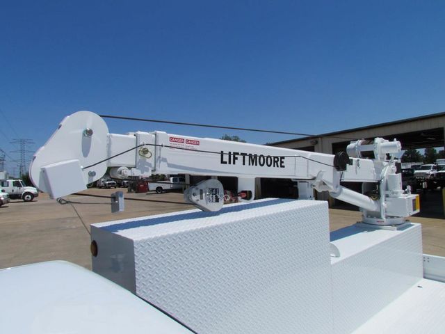 0 Liftmoore Crane 6036WX-20 - 3943493 - 5