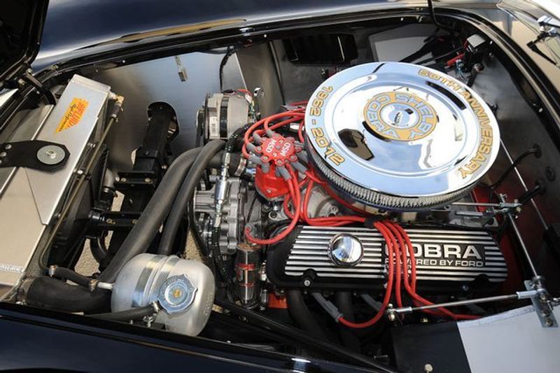 1965 Shelby 289 CSX 8000 Anniversary Edition - 6627290 - 8