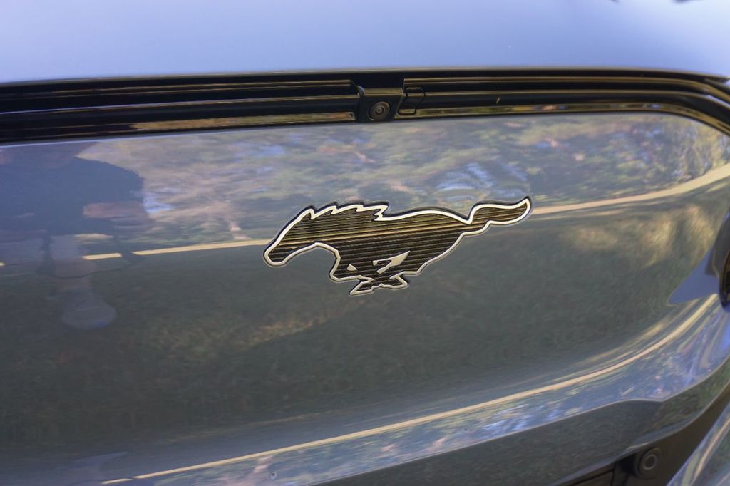 2023 Ford Mustang Mach-E Premium RWD - 22152729 - 1