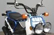 2023 Honda Ruckus Urban Adventure - 22669782 - 0