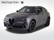 2024 Alfa Romeo Stelvio Quadrifoglio - 22631189 - 0