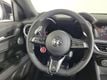 2024 Alfa Romeo Stelvio Quadrifoglio - 22631189 - 9