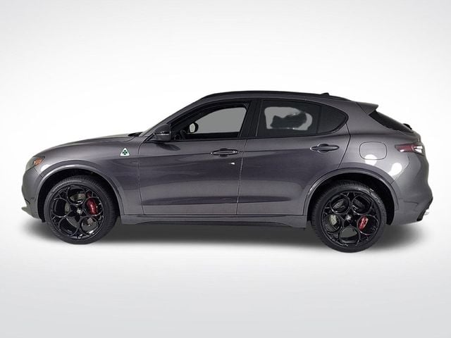 2024 Alfa Romeo Stelvio Quadrifoglio - 22631189 - 1