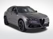 2024 Alfa Romeo Stelvio Quadrifoglio - 22631189 - 6