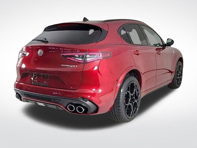 2024 Alfa Romeo Stelvio Quadrifoglio - 22854704 - 3