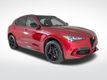 2024 Alfa Romeo Stelvio Quadrifoglio - 22854704 - 5