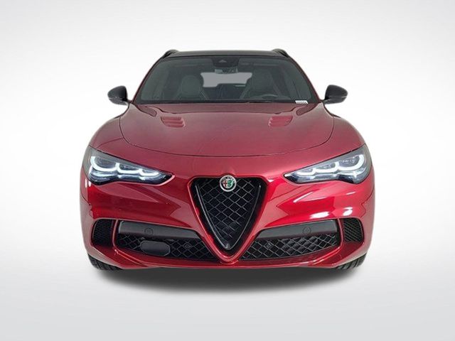 2024 Alfa Romeo Stelvio Quadrifoglio - 22854704 - 6