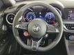 2024 Alfa Romeo Stelvio Quadrifoglio - 22854704 - 8
