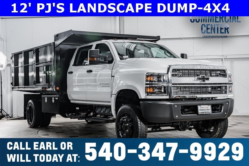 2024 Chevrolet Silverado 1500  - 22691700 - 0