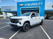 2024 Chevrolet Silverado 1500 Trail Boss Custom - 22483868 - 0