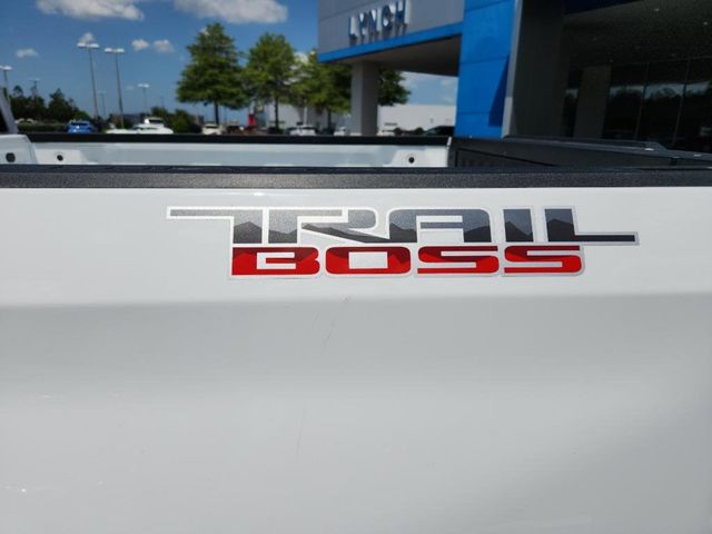 2024 Chevrolet Silverado 1500 Trail Boss Custom - 22483868 - 11