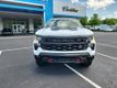 2024 Chevrolet Silverado 1500 Trail Boss Custom - 22483868 - 1