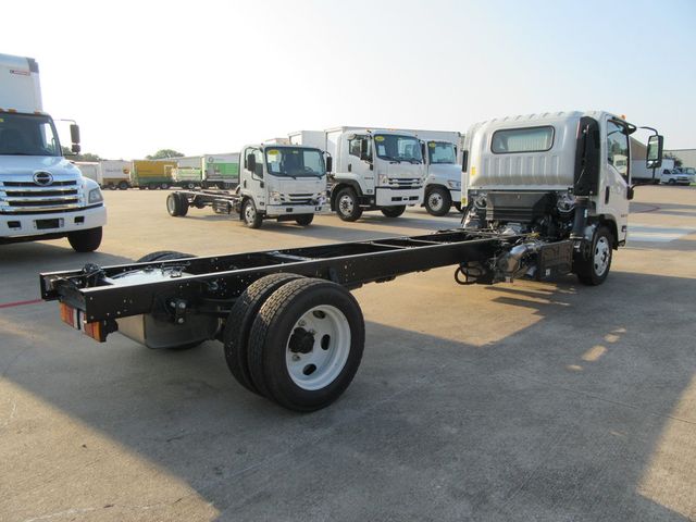 2024 Isuzu NQR (Chassis - Diesel) - 22574679 - 7