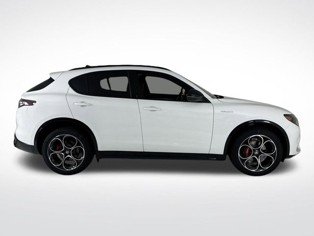 2025 Alfa Romeo Stelvio  - 22854846 - 5