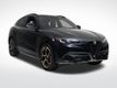 2025 Alfa Romeo Stelvio  - 22901625 - 6