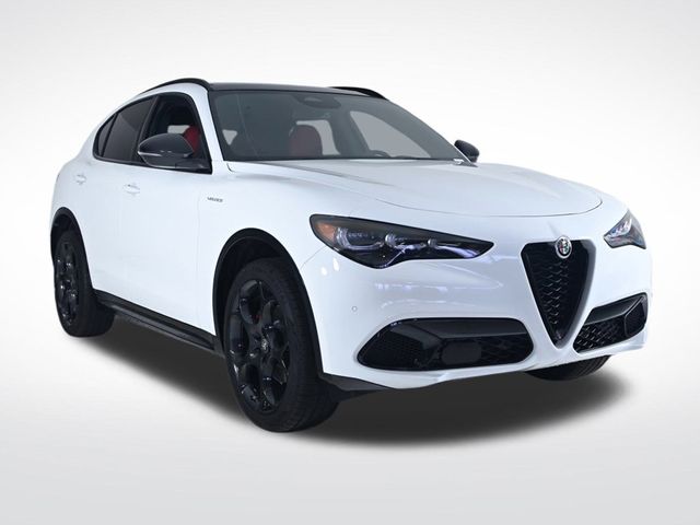 2025 Alfa Romeo Stelvio  - 22943639 - 6