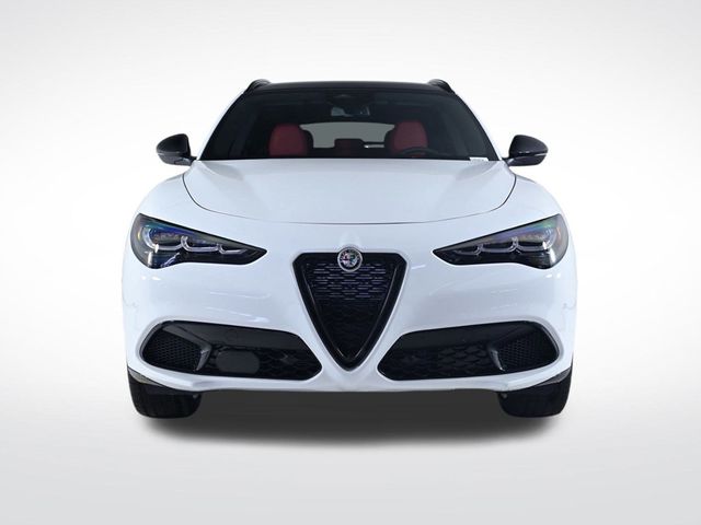 2025 Alfa Romeo Stelvio  - 22943639 - 7