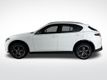 2025 Alfa Romeo Stelvio Sprint AWD - 22854846 - 1