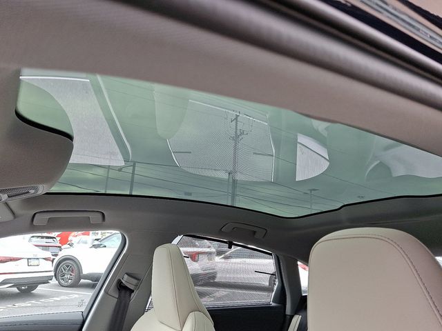 2025 Audi A5 Premium Plus 2.0 TFSI quattro - 22918406 - 12