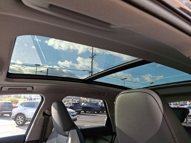 2025 Audi Q5 Premium Plus 2.0 TFSI quattro - 22950770 - 12