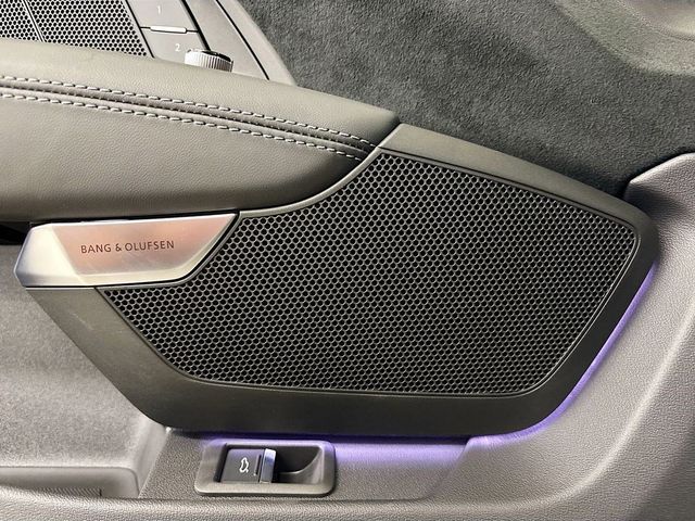 2025 Audi RS e-tron GT performance quattro - 22988813 - 23