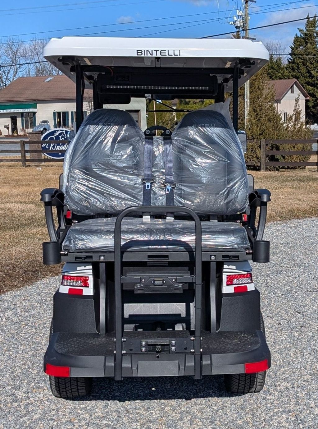 2025 Bintelli 4 Passenger Beyond  - 22774220 - 4