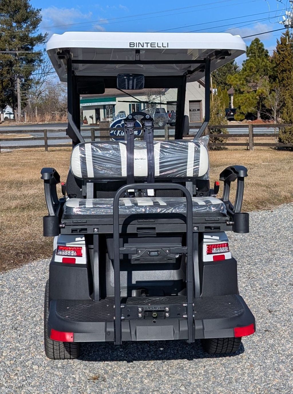 2025 Bintelli 4 Passenger Beyond Lite  - 22774907 - 5