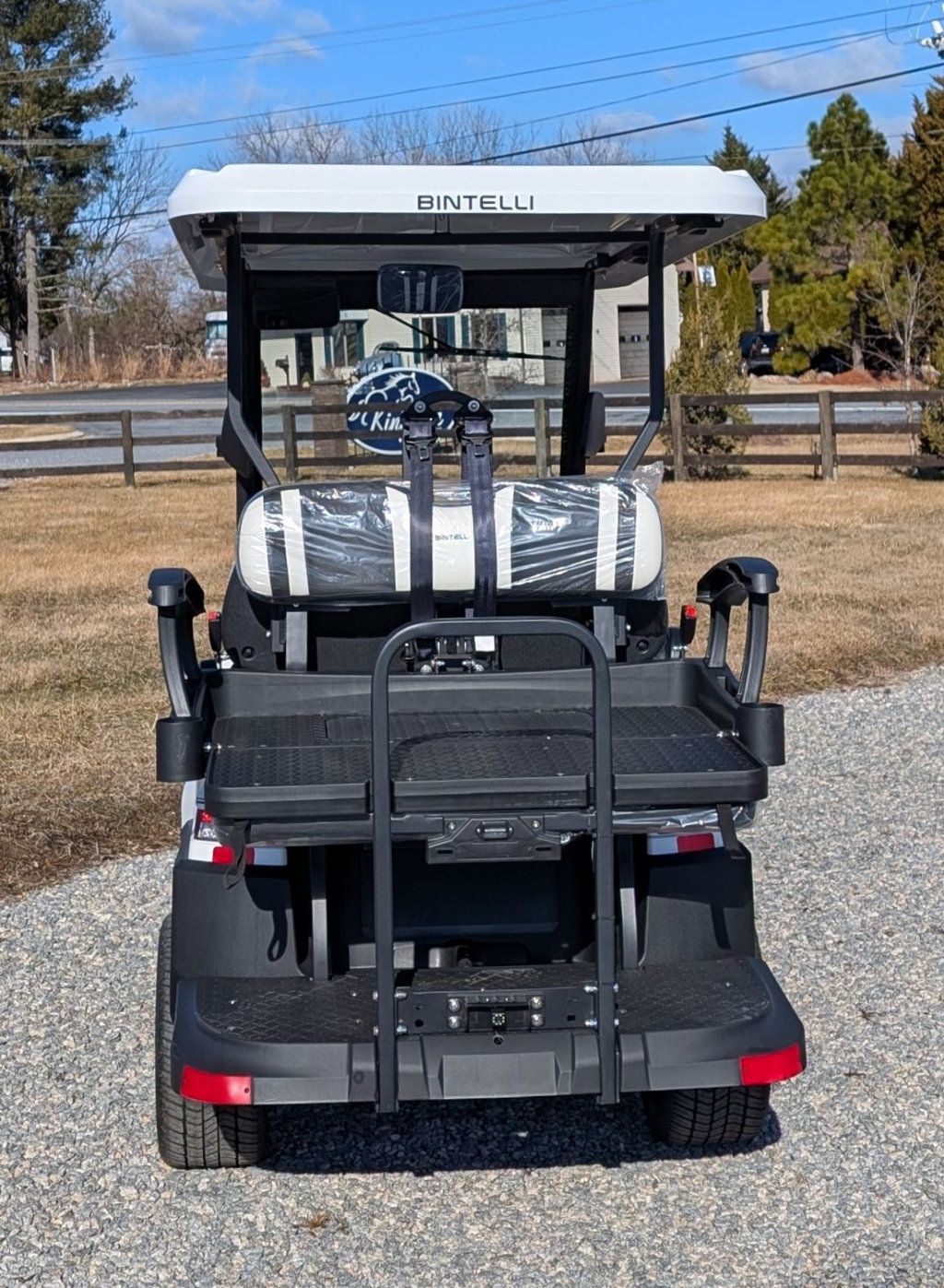 2025 Bintelli 4 Passenger Beyond Lite  - 22774907 - 6