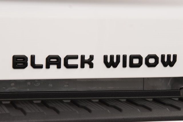 2025 Chevrolet Silverado 1500 4WD Crew Cab 147" RST - 22898313 - 25