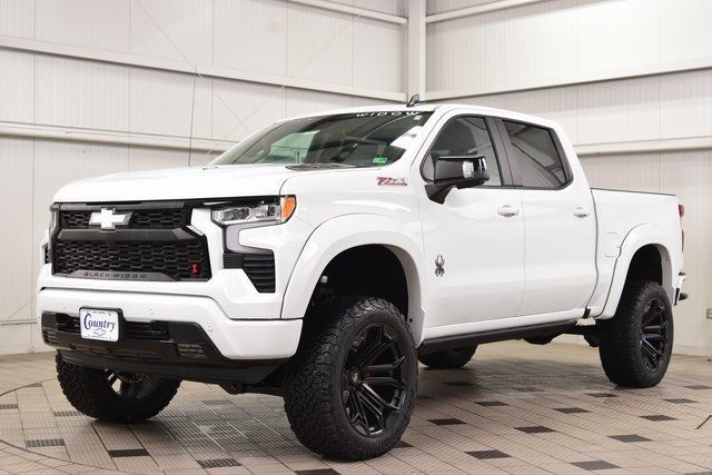 2025 Chevrolet Silverado 1500 4WD Crew Cab 147" RST - 22898313 - 2