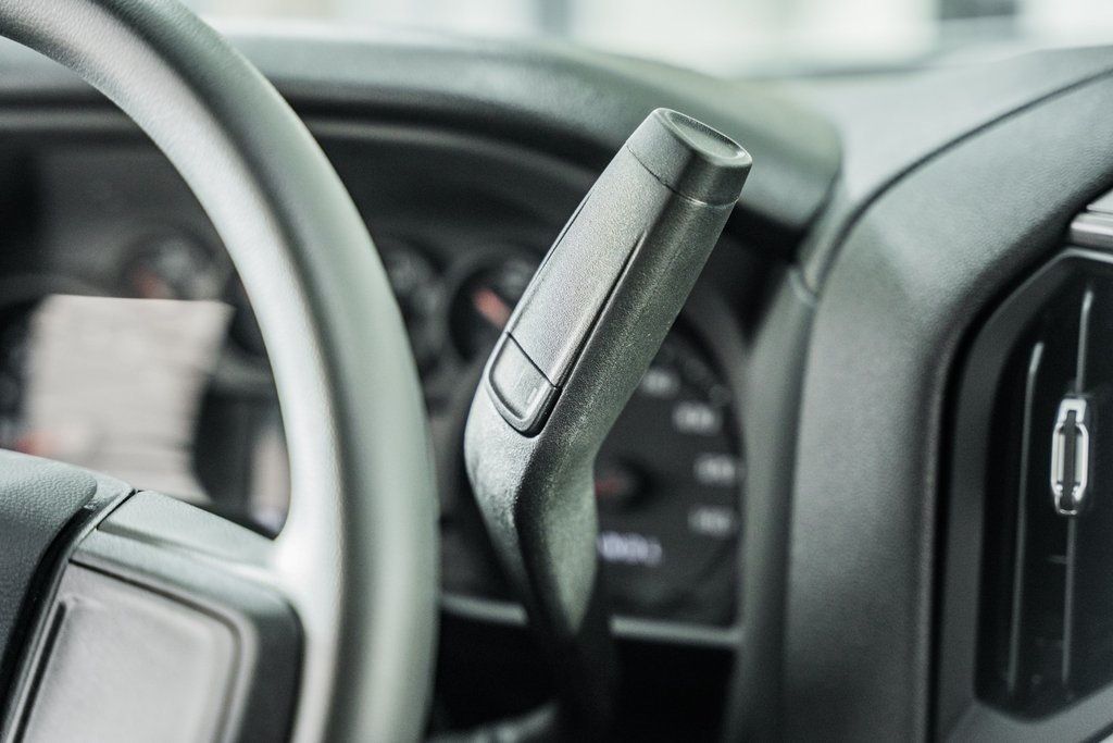 2025 Chevrolet Silverado 1500 4WD Reg Cab 126" Work Truck - 22839011 - 32