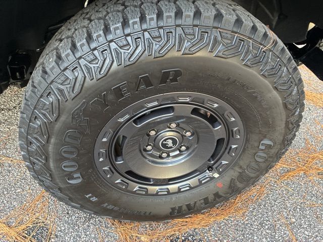 2025 Ford Bronco Badlands 4 Door Advanced 4x4 - 22948965 - 16