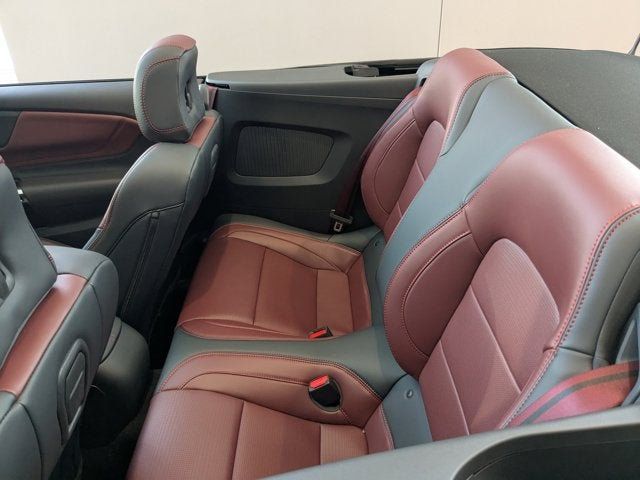 2025 Ford Mustang EcoBoost Convertible - 22901793 - 9